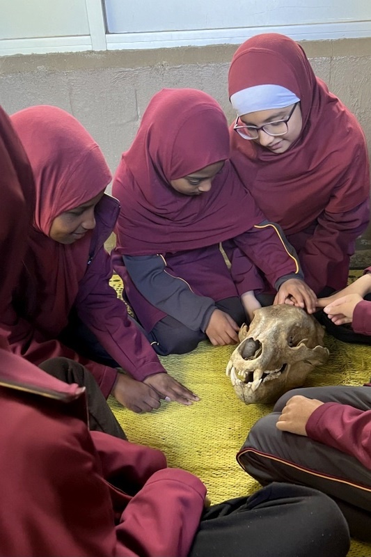 Year 5 Excursion to Melbourne Zoo